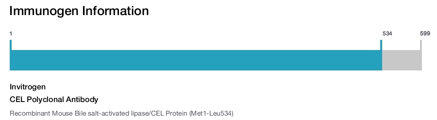 CEL Polyclonal Antibody