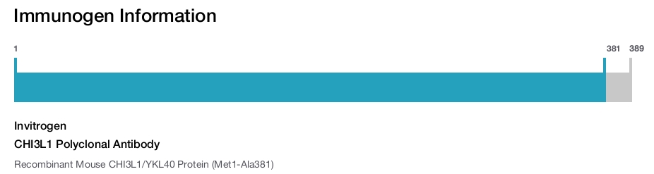 CHI3L1 Polyclonal Antibody