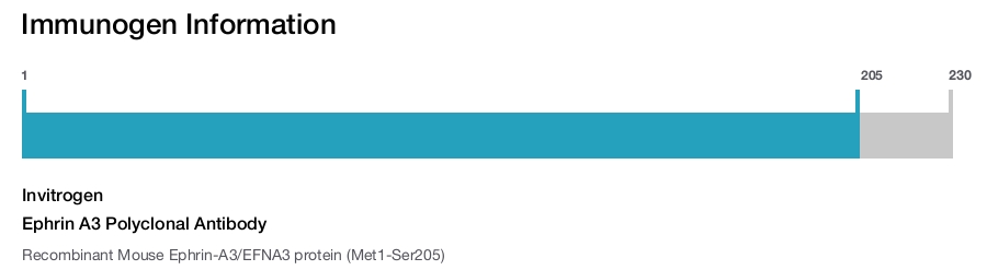 Ephrin A3 Polyclonal Antibody
