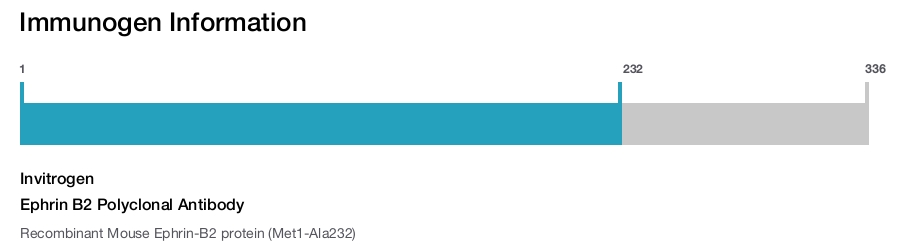 Ephrin B2 Polyclonal Antibody