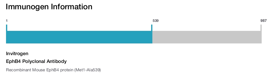 EphB4 Polyclonal Antibody