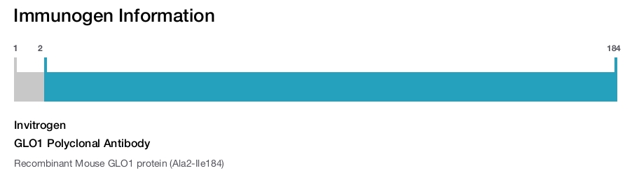 GLO1 Polyclonal Antibody