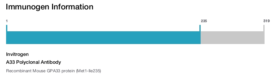 A33 Polyclonal Antibody