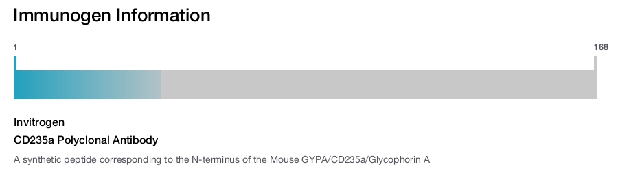 CD235a Polyclonal Antibody