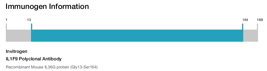 IL1F9 Polyclonal Antibody
