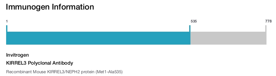 KIRREL3 Polyclonal Antibody