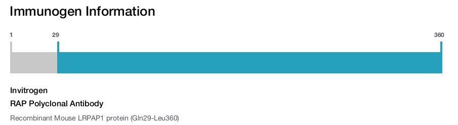 RAP Polyclonal Antibody