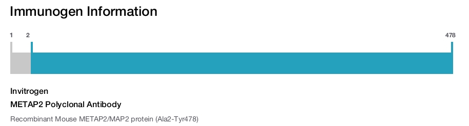 METAP2 Polyclonal Antibody