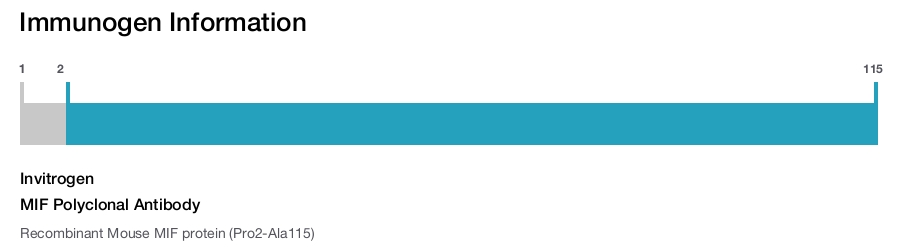 MIF Polyclonal Antibody