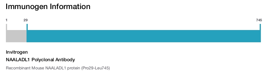NAALADL1 Polyclonal Antibody