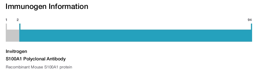 S100A1 Polyclonal Antibody