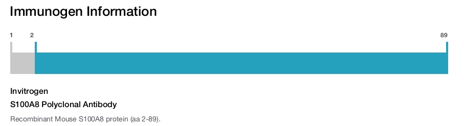 S100A8 Polyclonal Antibody