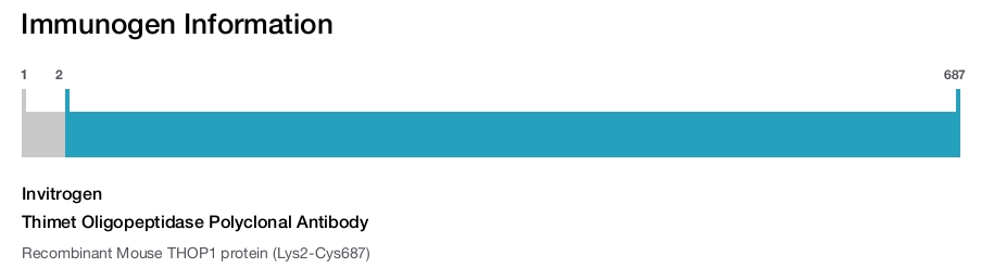 Thimet Oligopeptidase Polyclonal Antibody