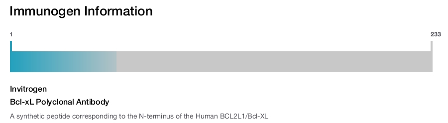Bcl-xL Polyclonal Antibody