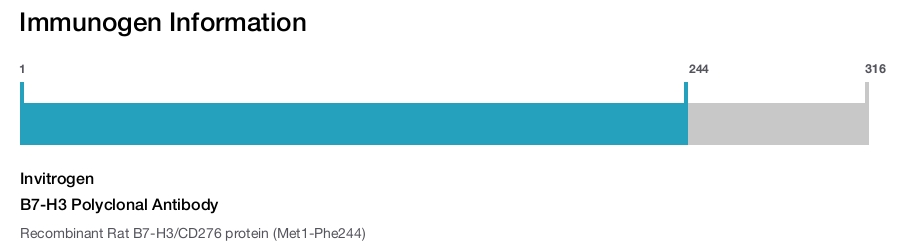 B7-H3 Polyclonal Antibody
