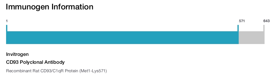 CD93 Polyclonal Antibody