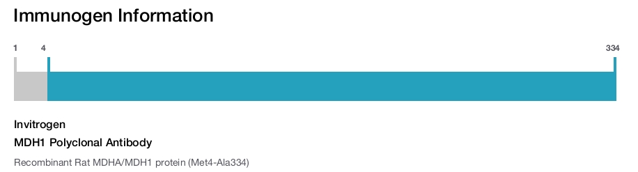 MDH1 Polyclonal Antibody