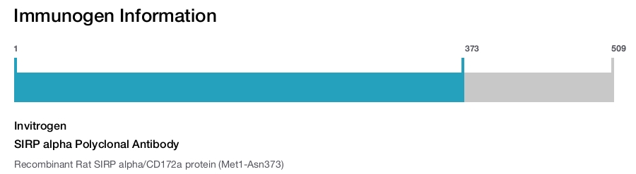 SIRP alpha Polyclonal Antibody