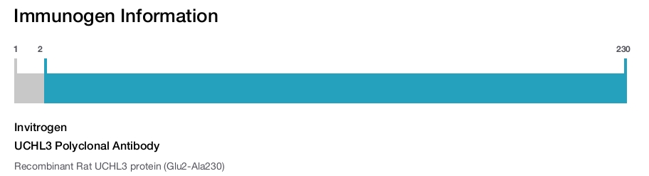 UCHL3 Polyclonal Antibody