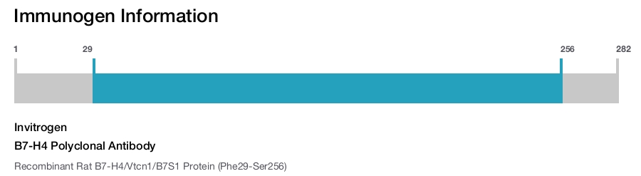 B7-H4 Polyclonal Antibody