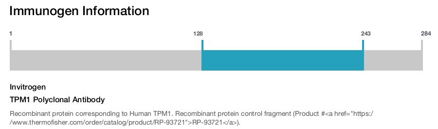 TPM1 Polyclonal Antibody