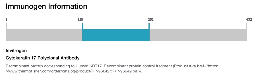 Cytokeratin 17 Polyclonal Antibody