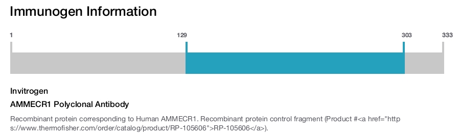 AMMECR1 Polyclonal Antibody