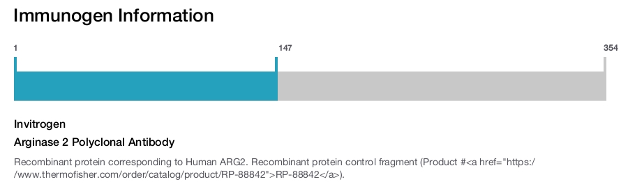 Arginase 2 Polyclonal Antibody