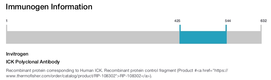 ICK Polyclonal Antibody