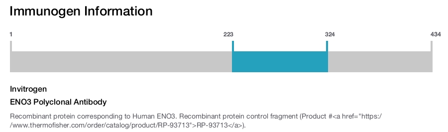ENO3 Polyclonal Antibody