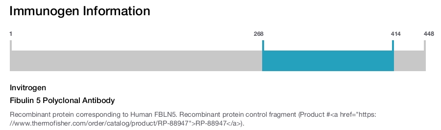 Fibulin 5 Polyclonal Antibody