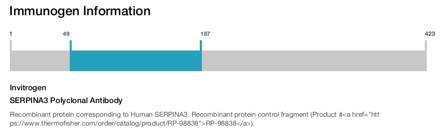 SERPINA3 Polyclonal Antibody