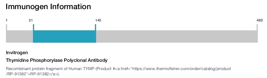 Thymidine Phosphorylase Polyclonal Antibody