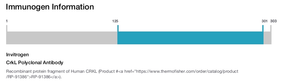 CrkL Polyclonal Antibody