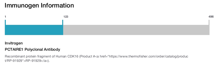 PCTAIRE1 Polyclonal Antibody