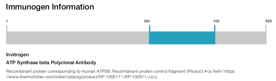 ATP Synthase beta Polyclonal Antibody