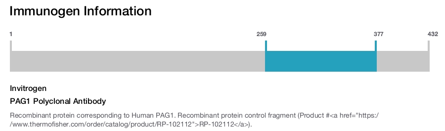 PAG1 Polyclonal Antibody