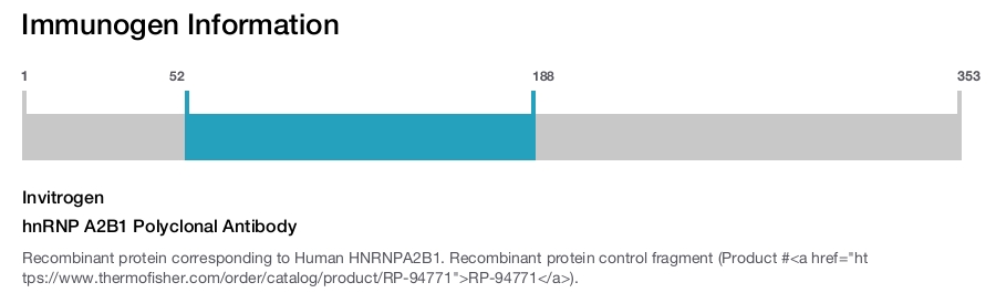 hnRNP A2B1 Polyclonal Antibody