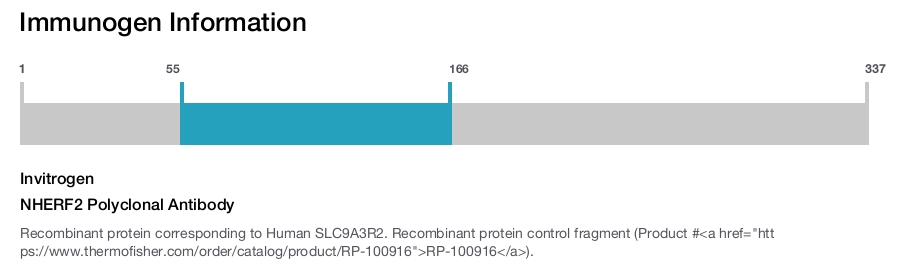 NHERF2 Polyclonal Antibody