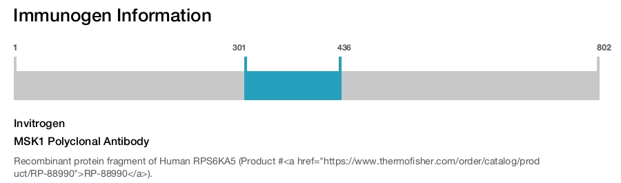 MSK1 Polyclonal Antibody