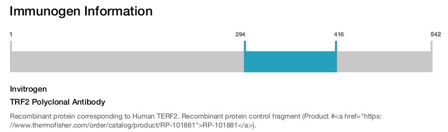 TRF2 Polyclonal Antibody