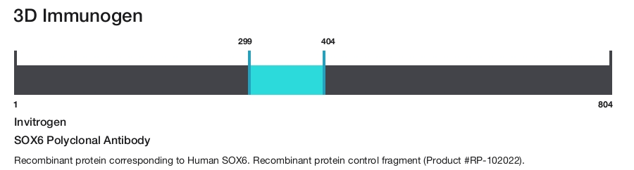 SOX6 Polyclonal Antibody