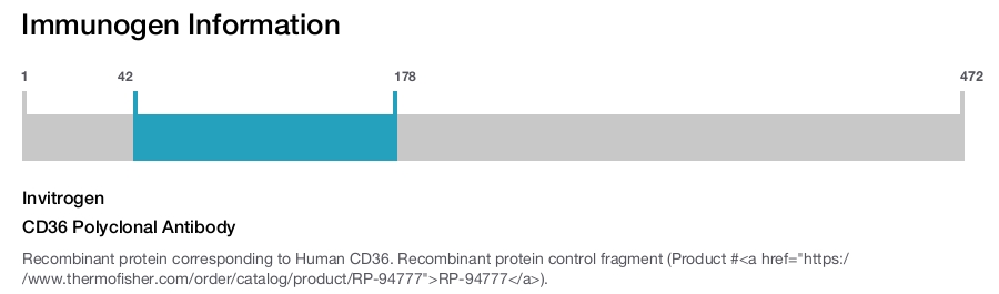 CD36 Polyclonal Antibody