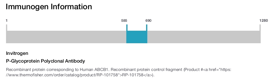 P-Glycoprotein Polyclonal Antibody