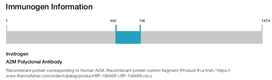 A2M Polyclonal Antibody