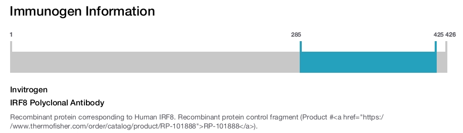 IRF8 Polyclonal Antibody