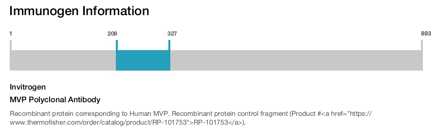 MVP Polyclonal Antibody