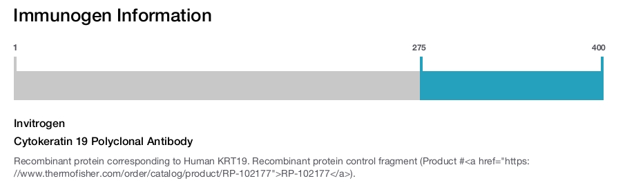 Cytokeratin 19 Polyclonal Antibody