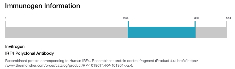 IRF4 Polyclonal Antibody