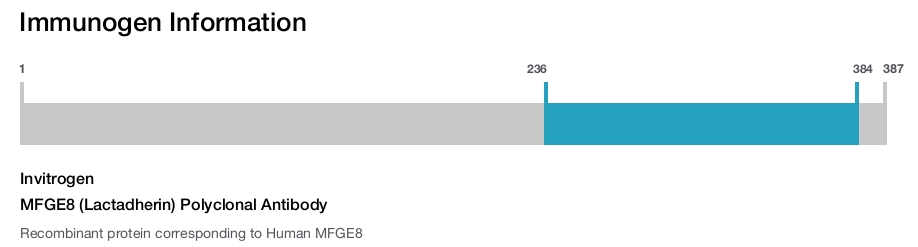 MFGE8 (Lactadherin) Polyclonal Antibody